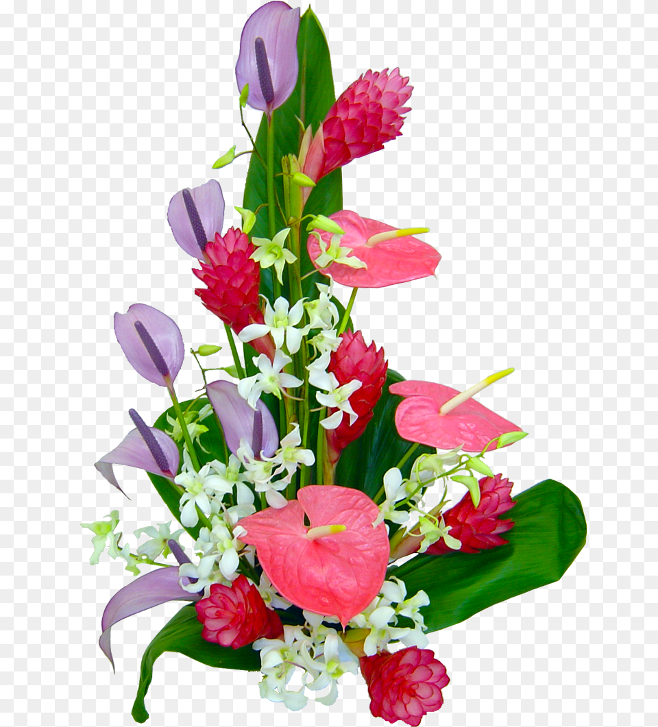 Flower Plants Do Tropical Flower Arrangement, Flower Arrangement, Flower Bouquet, Plant, Rose Png
