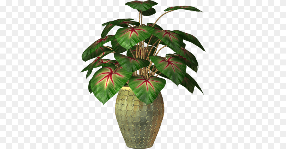 Flower Plants In Pot 1 Image Houseplant, Flower Arrangement, Jar, Leaf, Plant Png