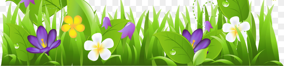 Flower Poem On Spring Season, Purple, Plant, Outdoors, Nature Png Image