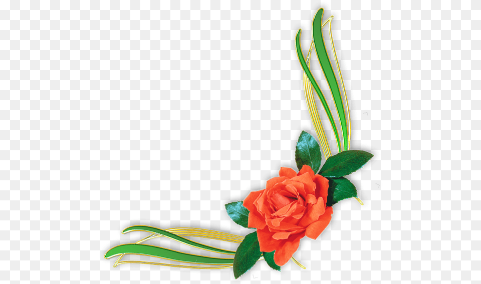 Flower Portable Rose Design Graphics Floral Border Flower, Art, Floral Design, Flower Arrangement, Pattern Png Image