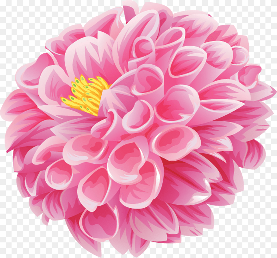 Flower Poster Dahlia Wallpaper, Plant Free Transparent Png