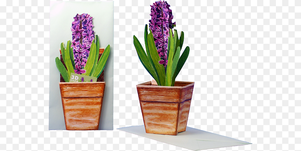 Flower Pot 3d, Pottery, Potted Plant, Planter, Plant Png