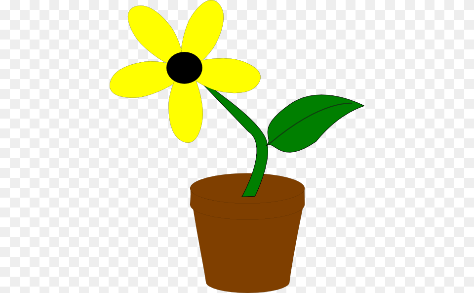Flower Pot Clipart, Daisy, Plant, Leaf, Daffodil Png