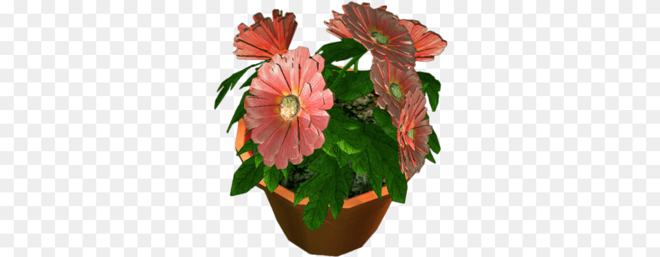 Flower Pot Dead Flowers, Geranium, Potted Plant, Daisy, Flower Arrangement Free Transparent Png