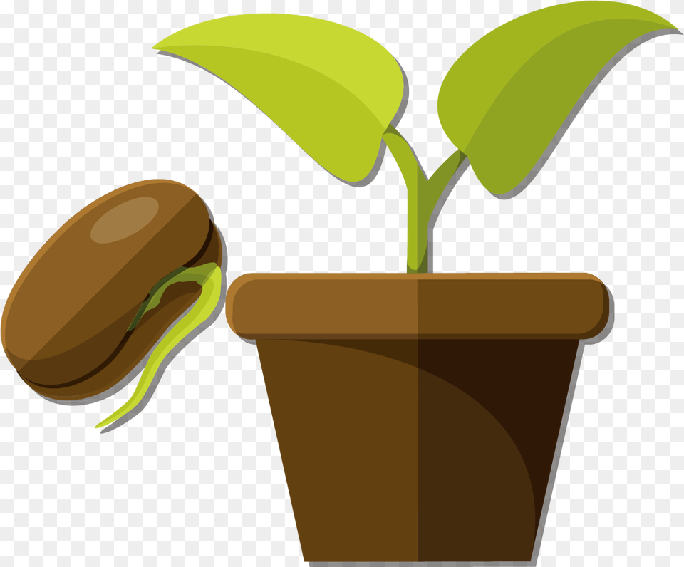 Flower Pot Leaves Clipart, Plant, Potted Plant, Leaf, Sprout Png