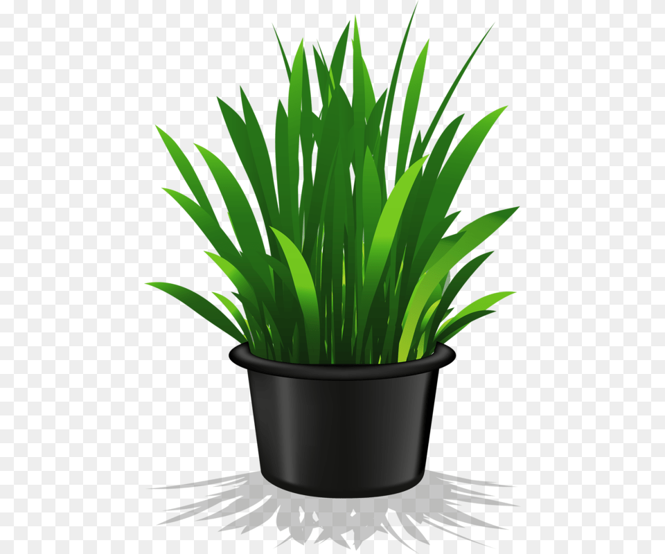 Flower Pot Plant Plant Clipart, Grass, Green, Potted Plant, Vase Png Image