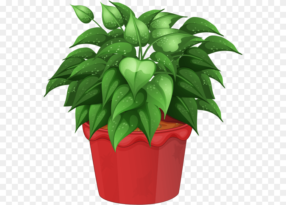 Flower Pot Transparent Clipart Flower Pot, Green, Jar, Leaf, Plant Png