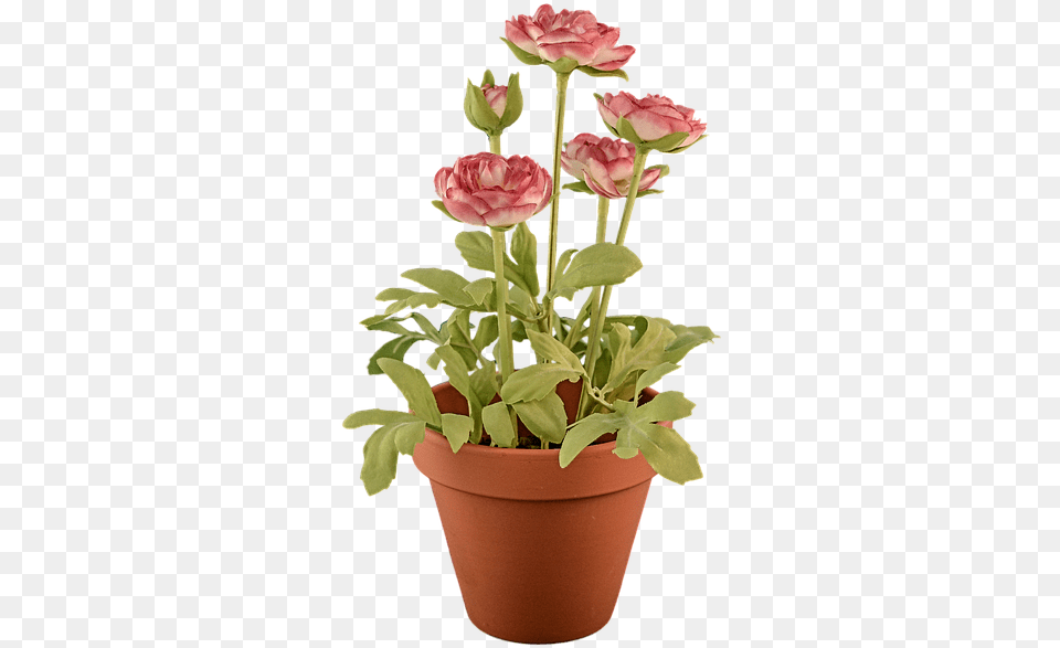 Flower Pot Transparent Potpng Images Pluspng Flowers In Pot Transparent Background, Flower Arrangement, Geranium, Plant, Flower Bouquet Png Image