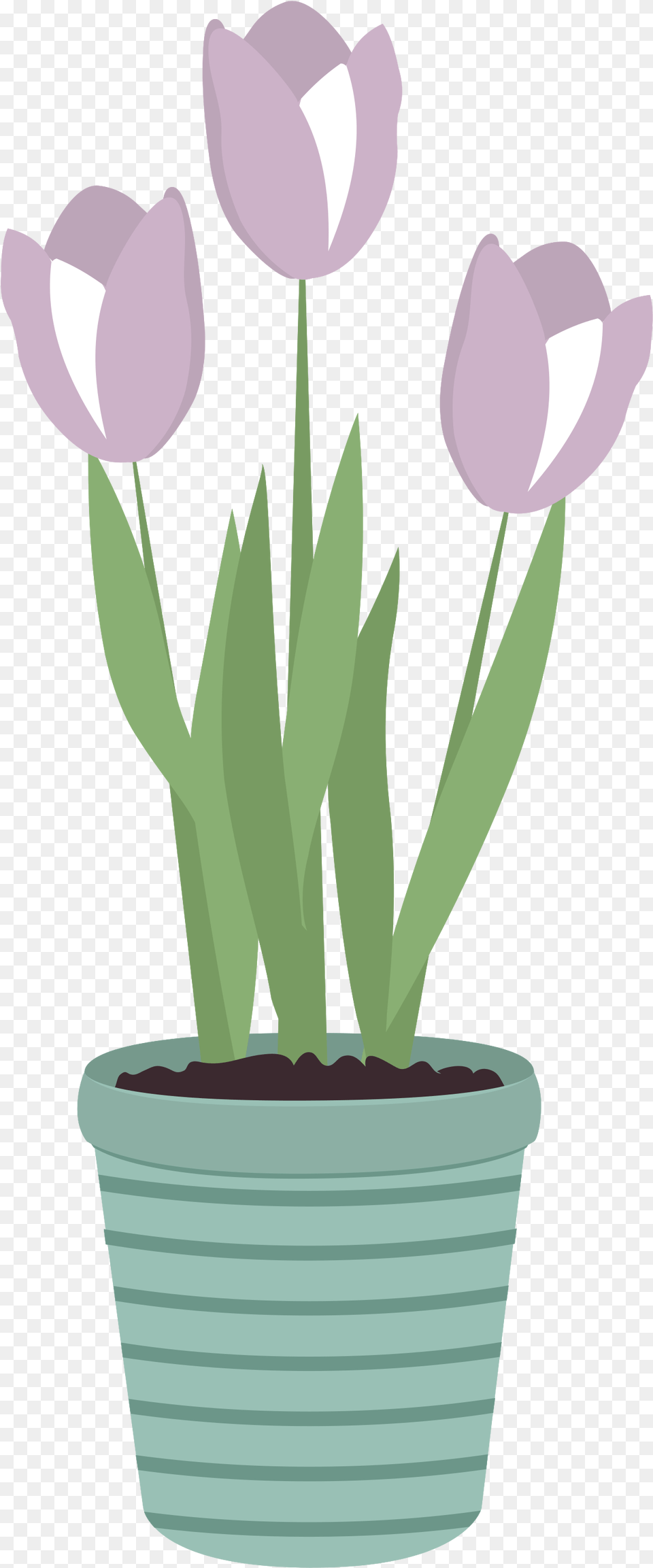 Flower Pot With Transparent Background Flowerpot, Jar, Petal, Plant, Planter Free Png Download