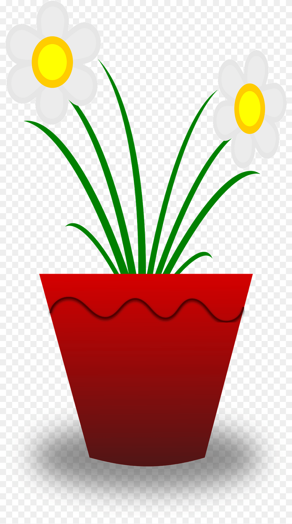 Flower Pot With White Flowers Clipart, Daisy, Plant, Potted Plant, Daffodil Png Image