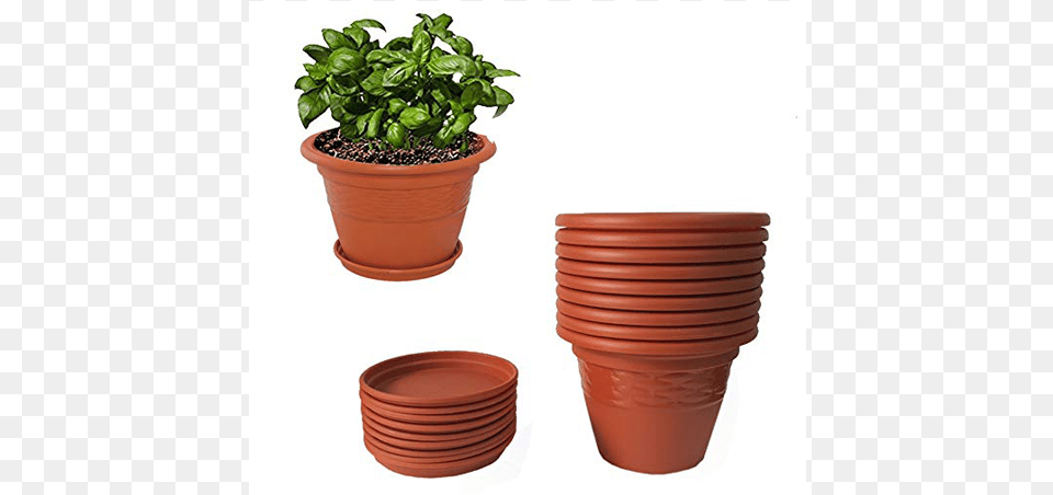 Flower Pots Ceramic Flower Pots Online India, Cookware, Plant, Pot, Potted Plant Png