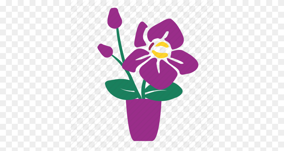 Flower Pots In Orchid Three Three Orchid Vase Window Icon, Plant, Purple, Flower Arrangement, Baby Free Transparent Png