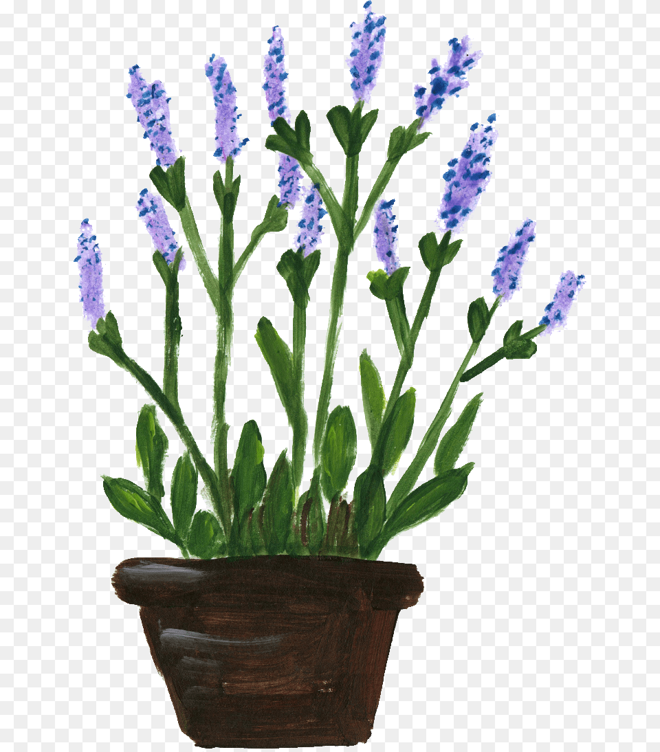 Flower Pots With Flowers Potted Flower Lavender Plants Transparent Background, Flower Arrangement, Plant, Potted Plant, Lupin Png Image