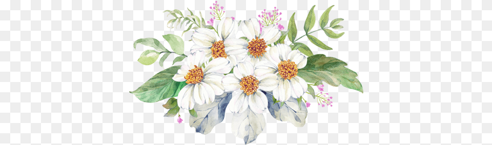 Flower Prints Clip Art Floral Prints Illustrations, Pattern, Graphics, Plant, Flower Bouquet Png Image