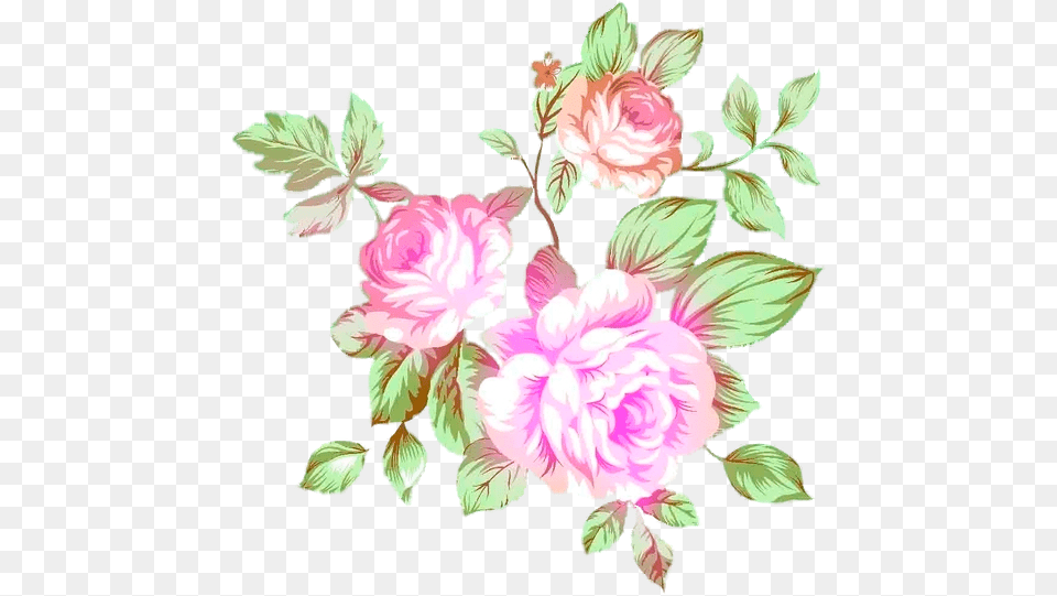 Flower Prints Rosa Glauca, Art, Floral Design, Graphics, Pattern Free Png Download