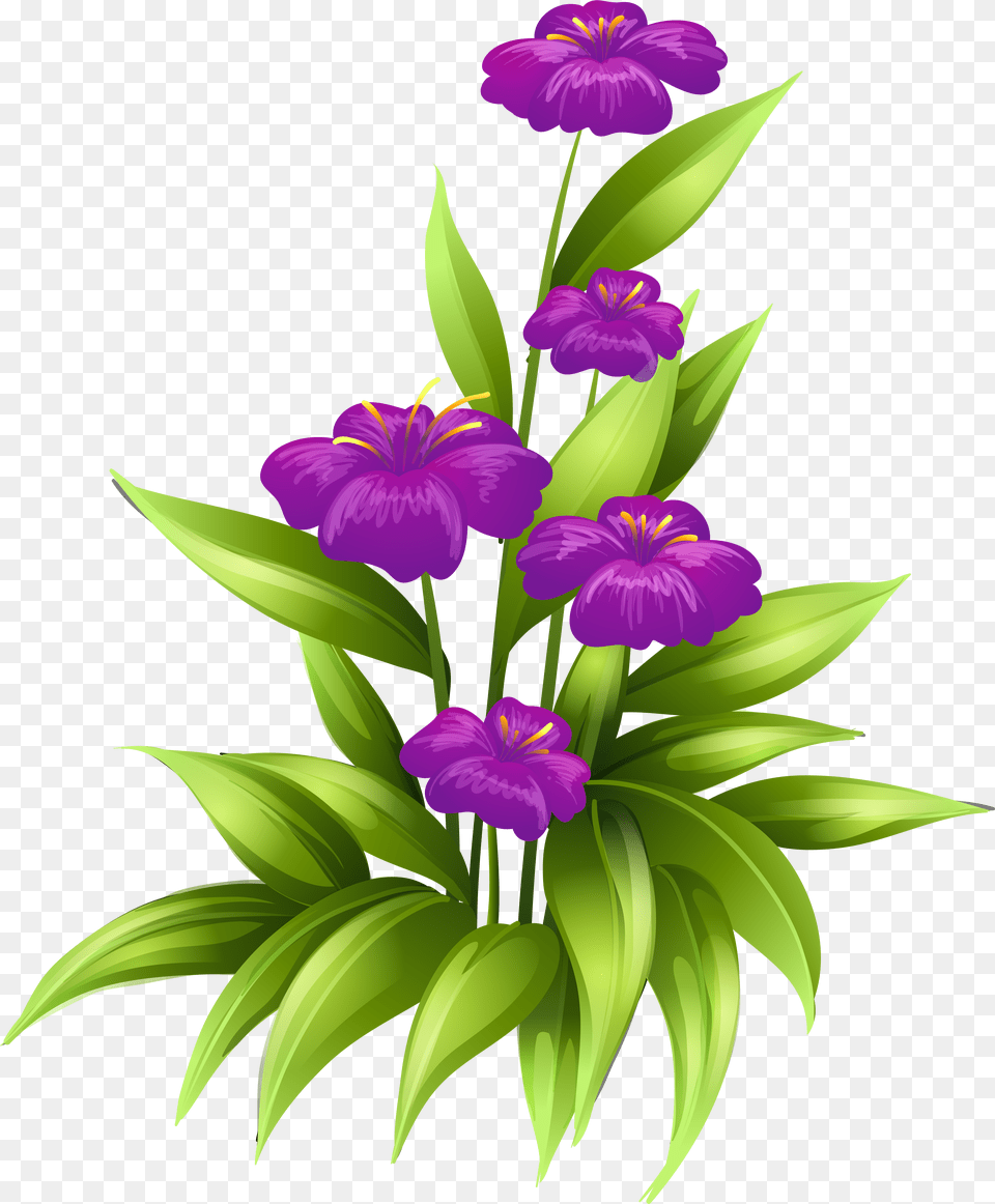 Flower Purple Stock Illustration Clip Art Background Flowers Clipart, Iris, Plant, Petal Free Transparent Png