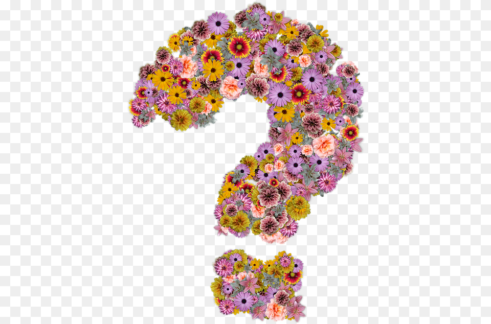 Flower Question Mark, Art, Floral Design, Graphics, Pattern Free Png Download