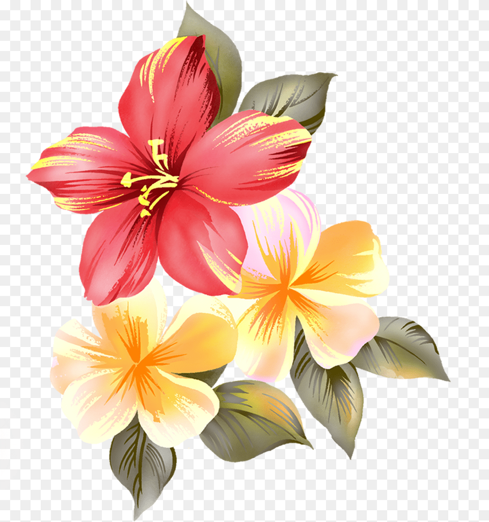 Flower Raster, Art, Floral Design, Graphics, Pattern Png