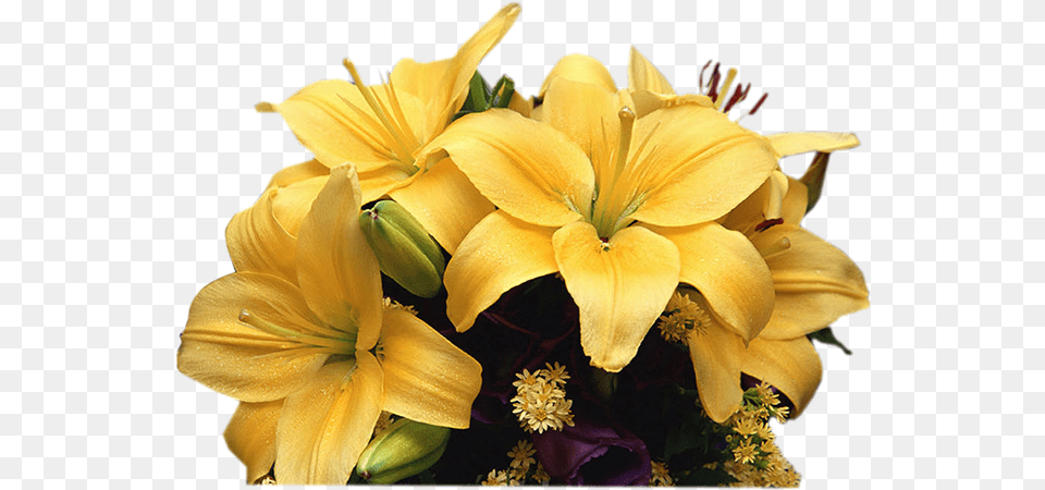 Flower Rg Designs Mensagem Para Quarta Feira De Cinzas, Flower Arrangement, Flower Bouquet, Plant Png Image