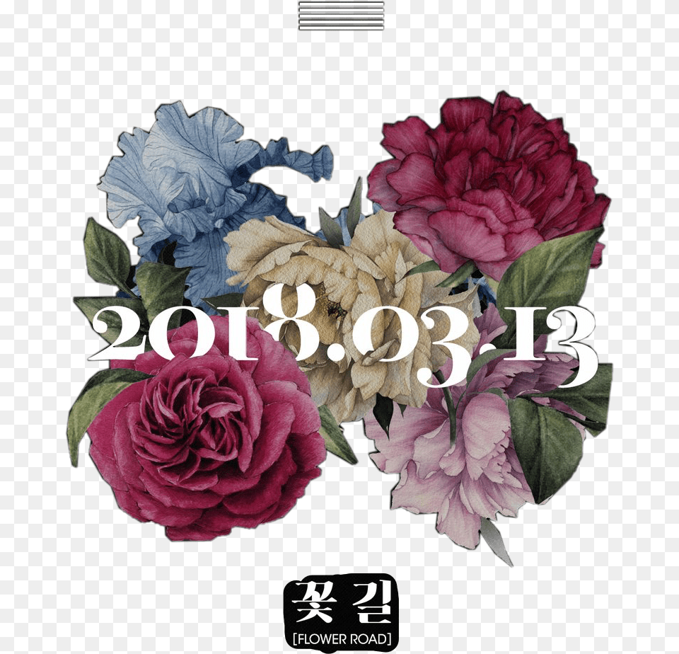 Flower Road Big Bang Lyrics, Plant, Rose, Carnation Free Transparent Png
