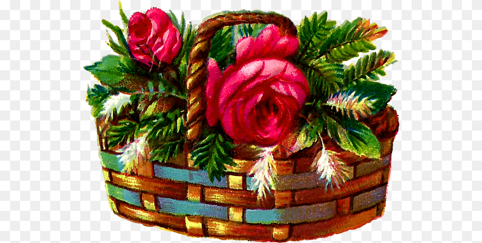 Flower Rose Basket Illustration Digital Flower In The Basket Clipart, Plant, Flower Bouquet, Flower Arrangement, Dessert Png Image