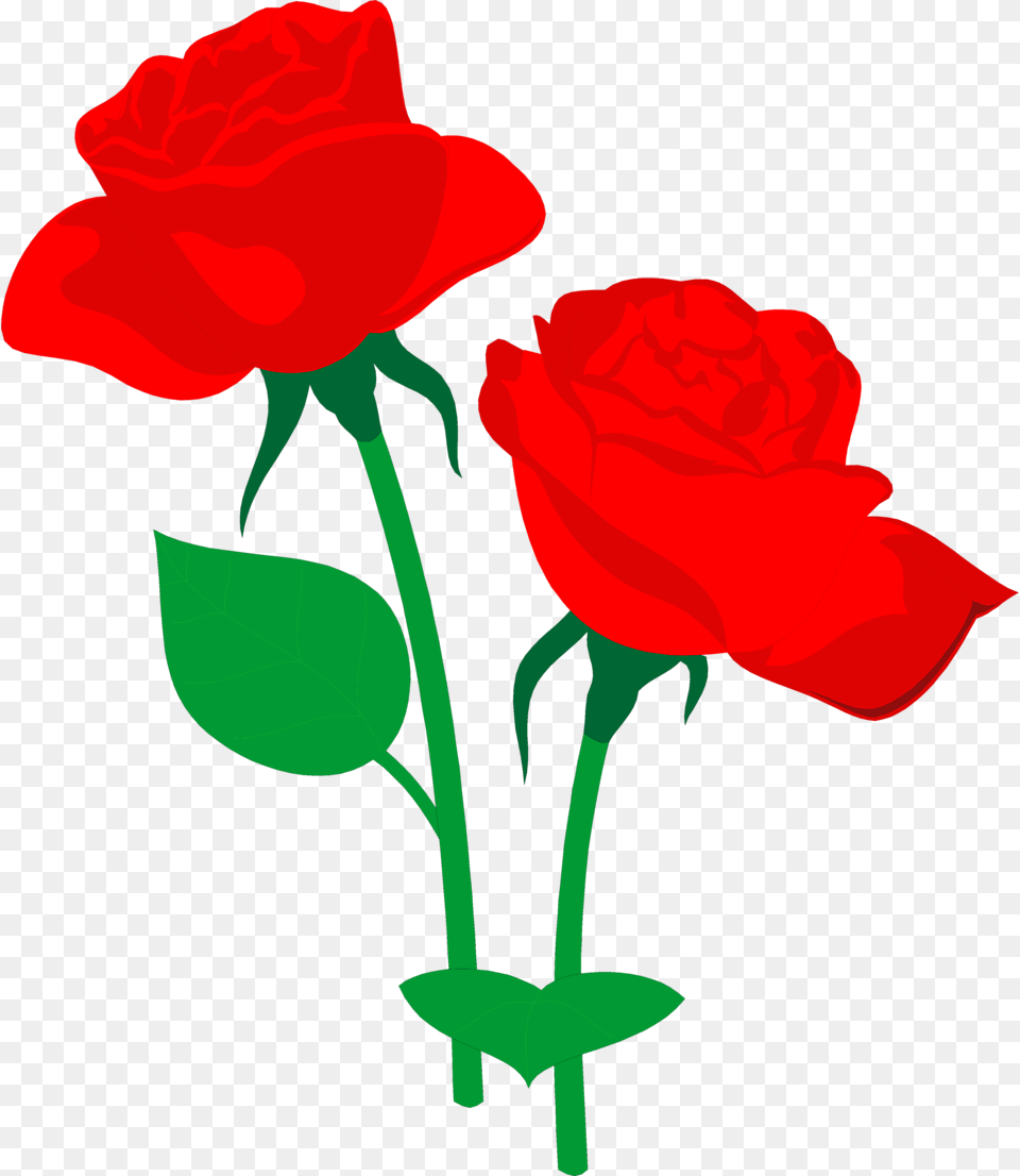 Flower Rose Clip Art Roses Clipart, Plant Free Png