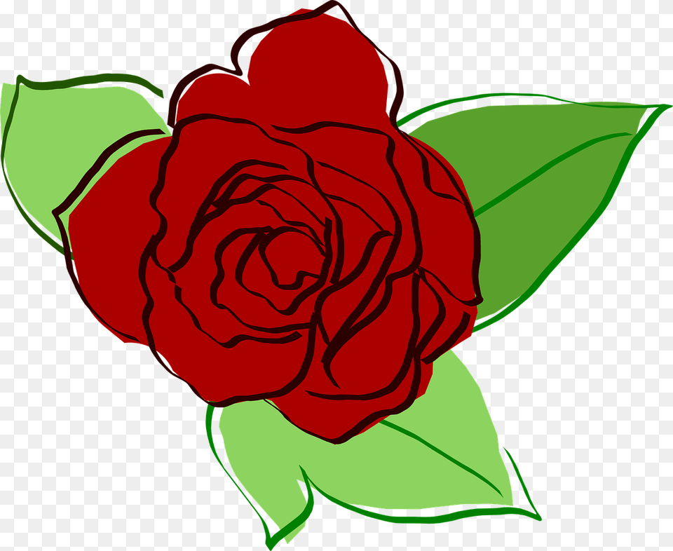 Flower Rose Drawing, Plant Free Png Download