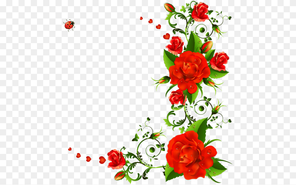 Flower Rose Drawing Red For Valentines Transparent, Art, Floral Design, Graphics, Pattern Png Image