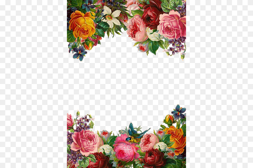 Flower Rose Frame Collection Vintage Composition Beautiful Flower Border, Art, Floral Design, Graphics, Pattern Free Transparent Png