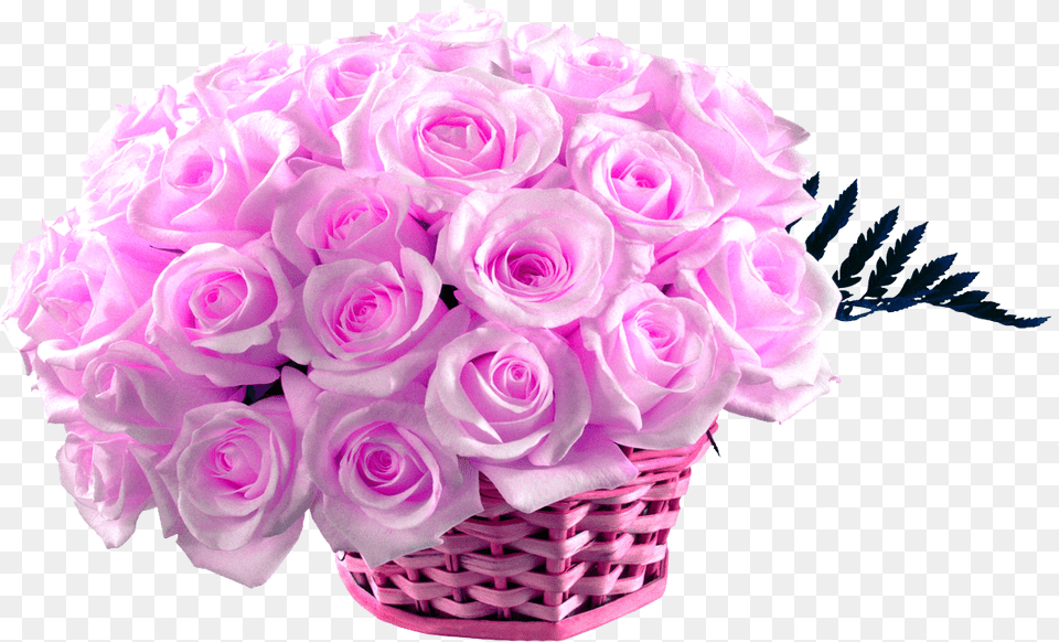 Flower Rose Hd Wallpaper 50 Pink Roses Pink Rose Image Hd, Flower Arrangement, Flower Bouquet, Plant Png