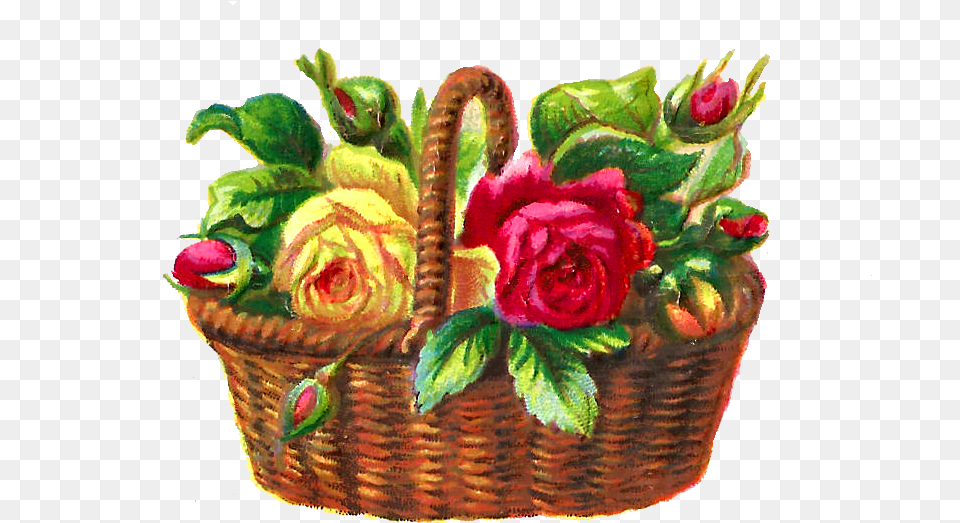 Flower Rose Illustration Basket Digital Flower, Plant, Flower Arrangement, Flower Bouquet Free Png Download