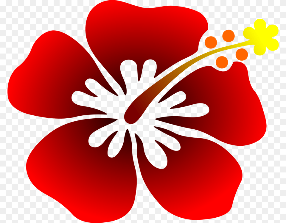 Flower Rosemallows T Shirt Floral Design Aloha Aloha Flower Clip Art, Hibiscus, Plant, Petal Free Transparent Png