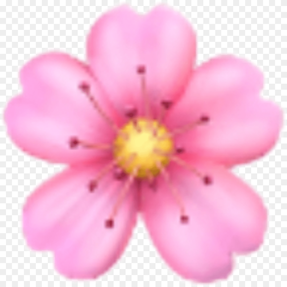 Flower Sakura Emoji Emojis Rose Sticker Iphone Flower Emoji, Anemone, Anther, Petal, Plant Free Png