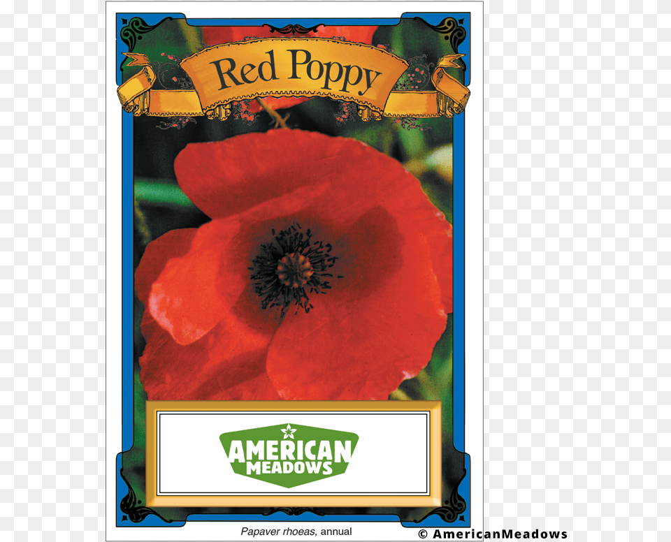 Flower Seed Packet Transparent, Plant, Rose, Poppy Free Png Download