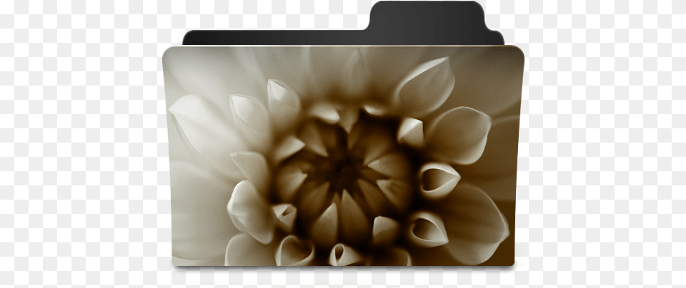 Flower Sepia Icon Goodies Folder Icons Softiconscom Flower Desktop Folder Icons, Dahlia, Plant, Petal Free Transparent Png