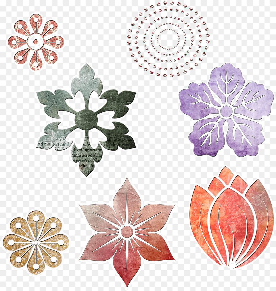Flower Shape, Art, Floral Design, Graphics, Pattern Free Transparent Png