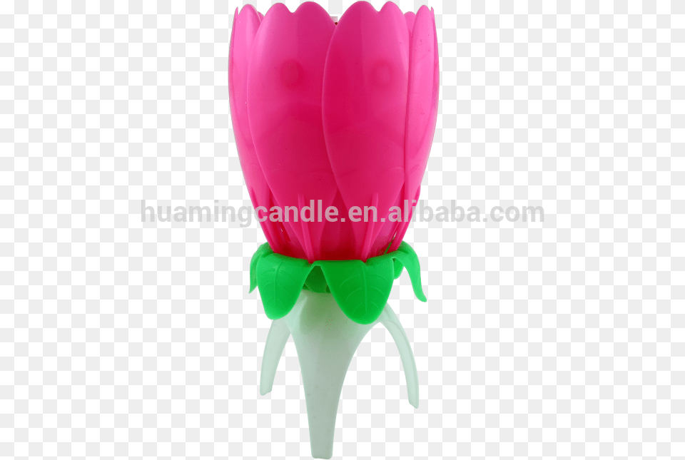 Flower Shape Birthday Candle Singing Happy Birthday, Petal, Plant, Rose Png Image