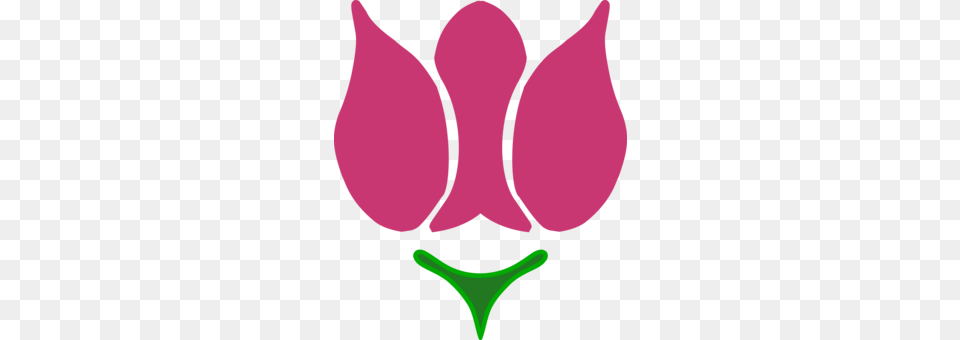 Flower Shape Symmetry Check Computer Icons, Petal, Plant, Animal, Fish Free Png Download