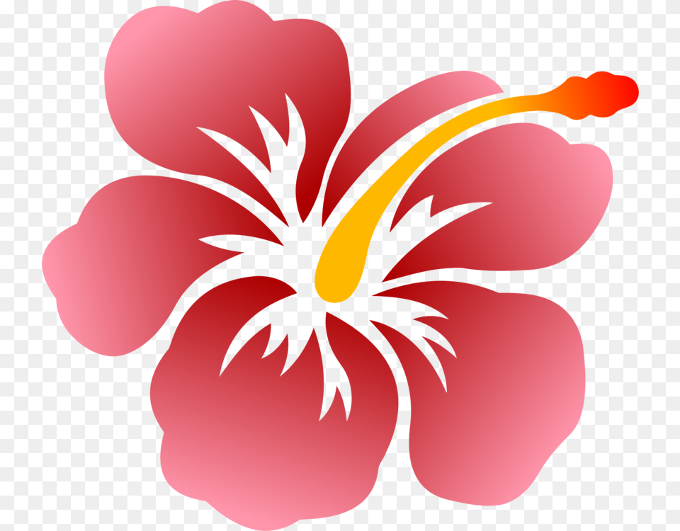 Flower Shoeblackplant Hawaiian Hibiscus Drawing Swamp Aloha Flower, Plant, Petal, Person Free Png Download