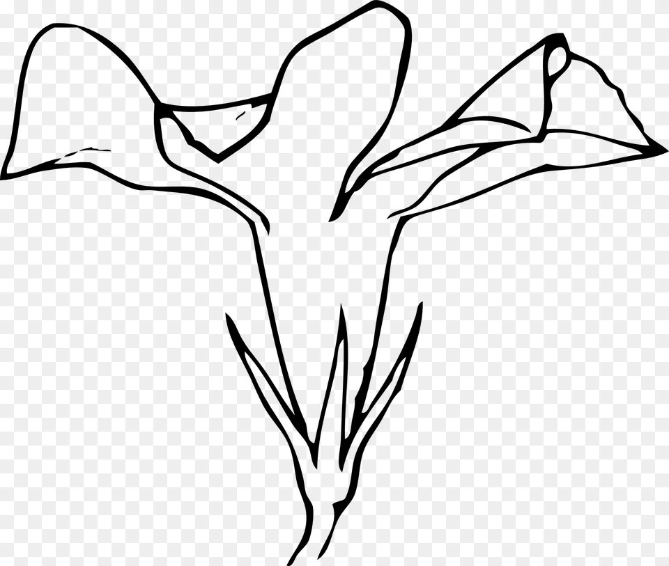 Flower Side View Drawing, Art, Plant, Petal Png Image
