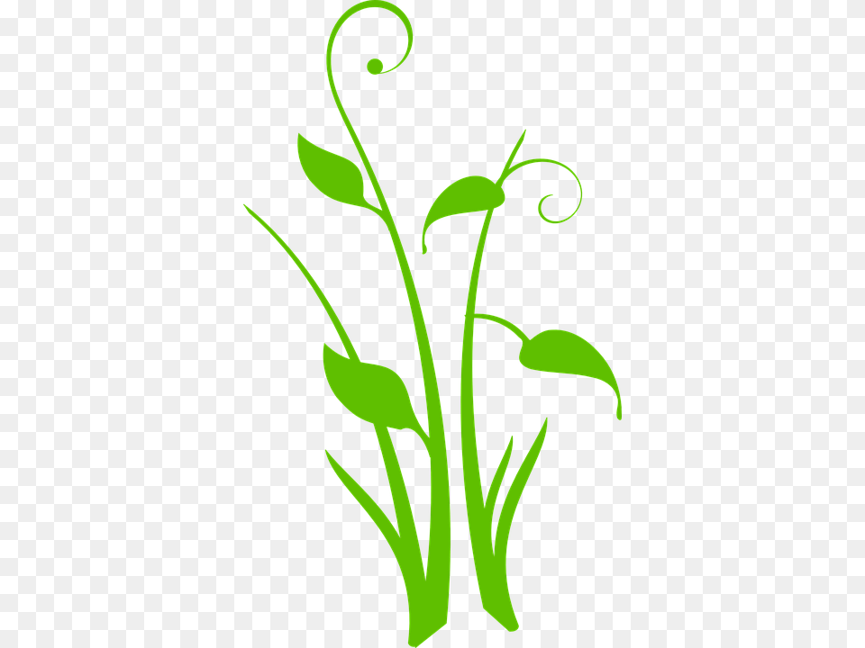Flower Silhouette Clip Art, Floral Design, Graphics, Pattern, Green Free Png Download