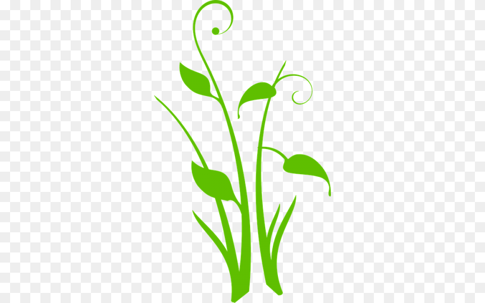 Flower Silhouette Clipart Nice Clip Art, Plant, Fern, Leaf Free Transparent Png