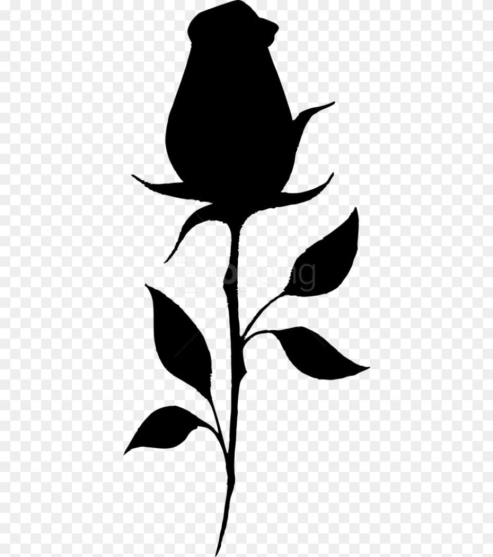 Flower Silhouette Rose Silhouette Transparent Black Rose Flower, Leaf, Plant, Animal, Bird Png Image