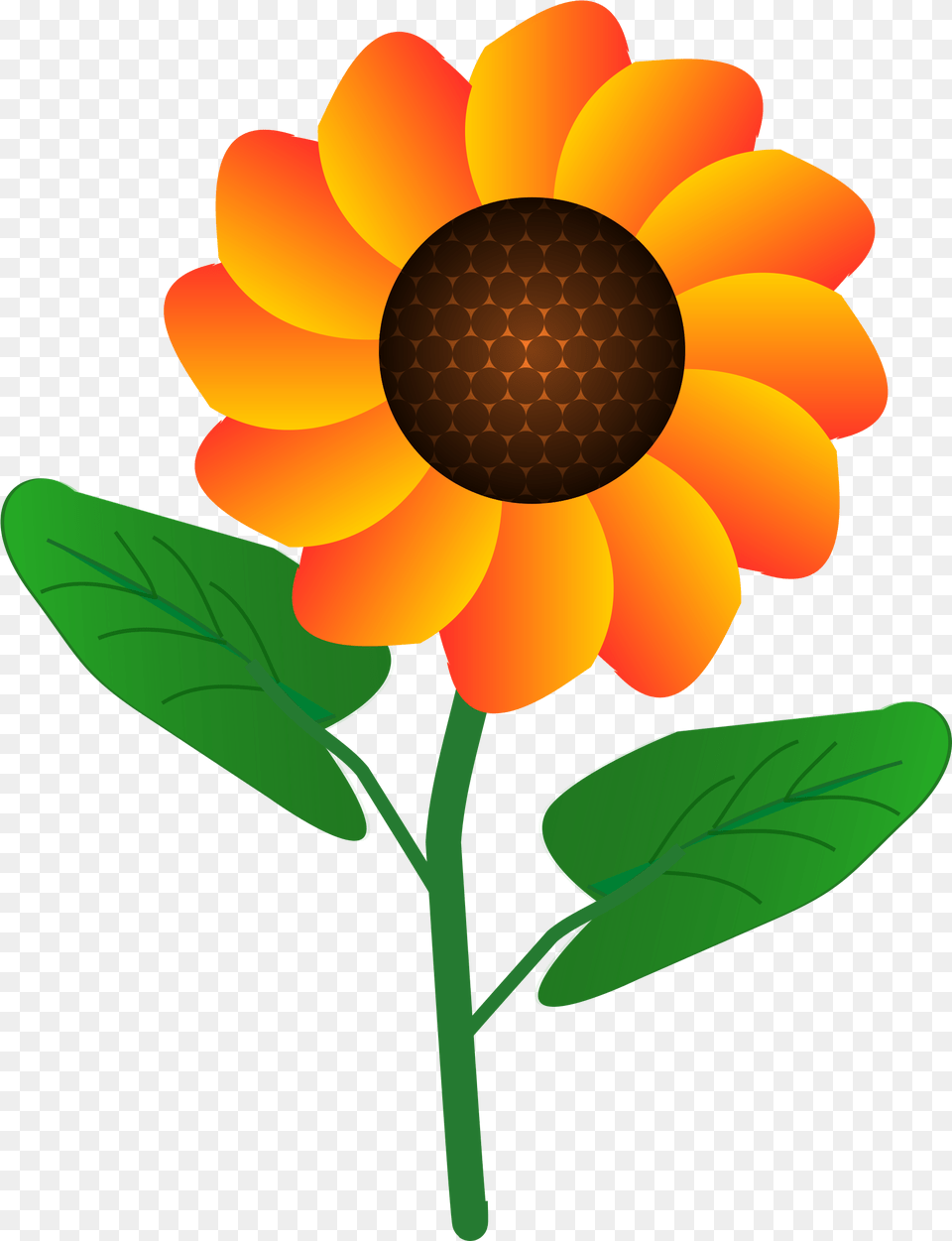 Flower Simple Flower Clipart Design, Dahlia, Daisy, Petal, Plant Free Transparent Png