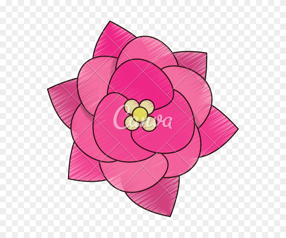 Flower Sketch, Dahlia, Plant, Art Free Transparent Png