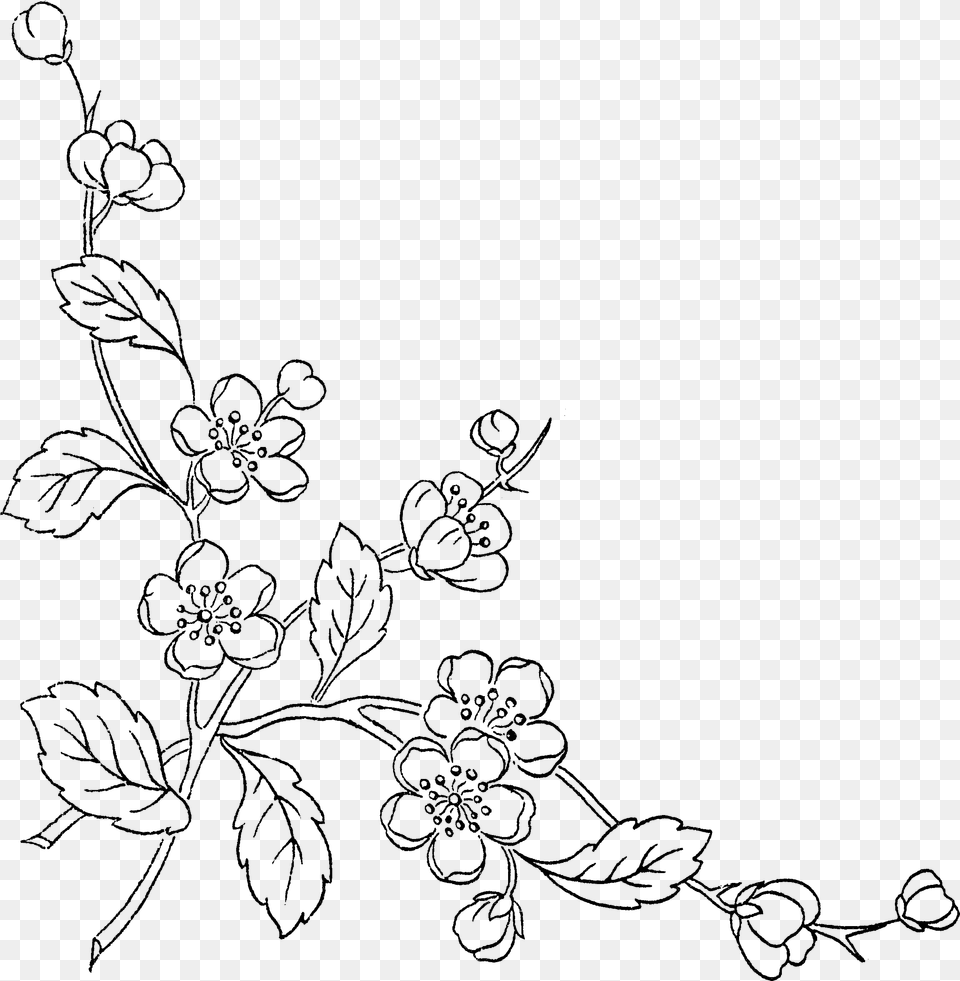 Flower Sketch Line Art, Gray Free Png Download