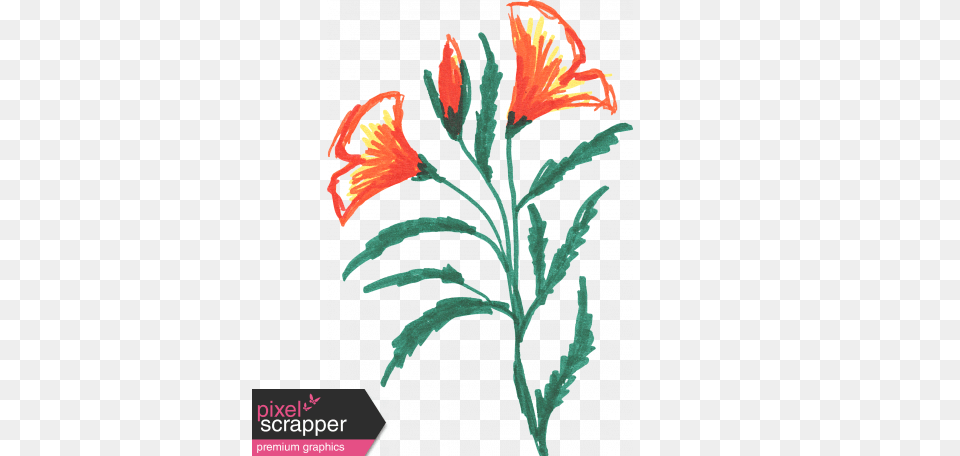 Flower Sketches, Art, Floral Design, Graphics, Home Decor Free Png Download