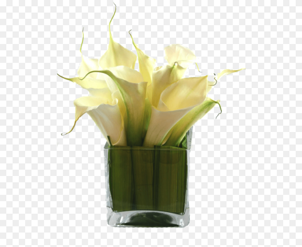 Flower Small Vase, Flower Arrangement, Flower Bouquet, Plant Png