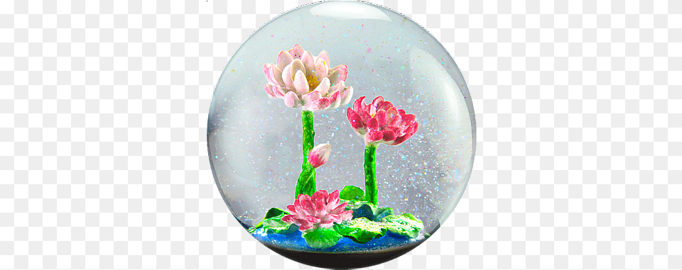 Flower Snow Globe Flowers In Snow Globes Full Beautiful Flowers In Snow Globes, Sphere, Flower Arrangement, Plant, Dahlia Png Image