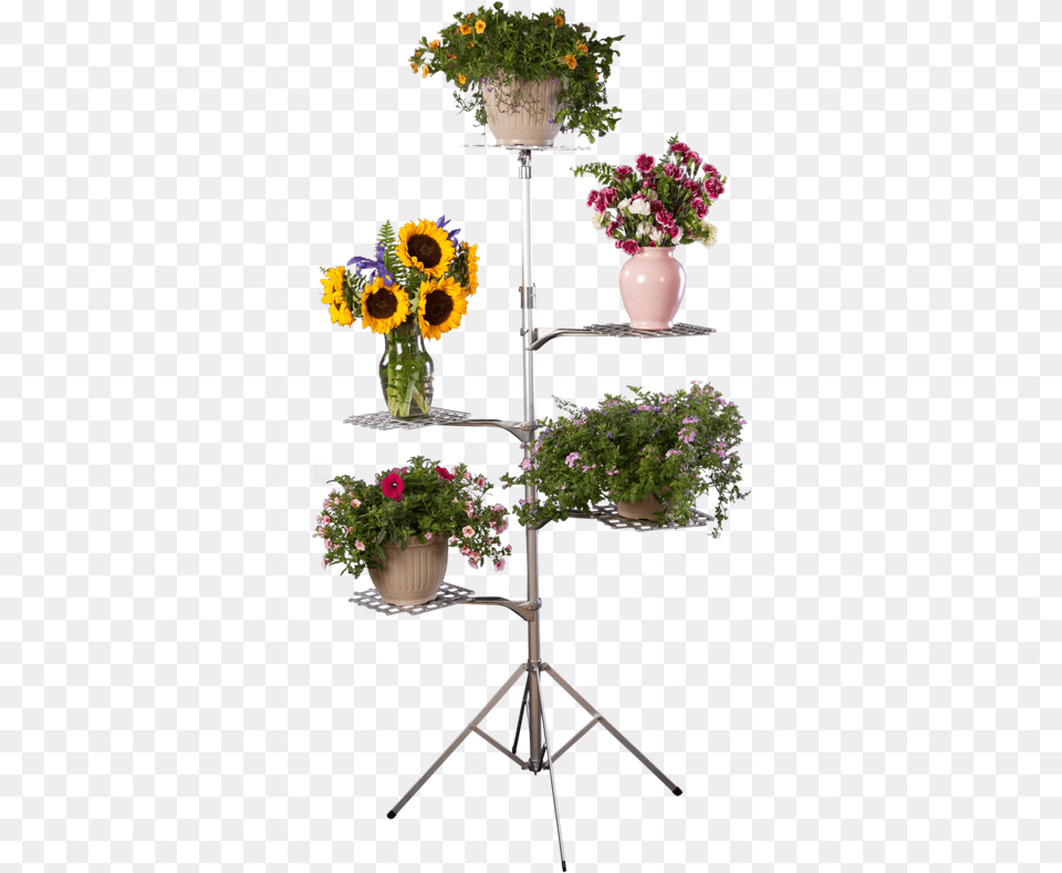 Flower Stand Transparent, Flower Arrangement, Flower Bouquet, Plant, Potted Plant Png Image